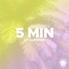 5 MIN OF SUMMER - Image 2